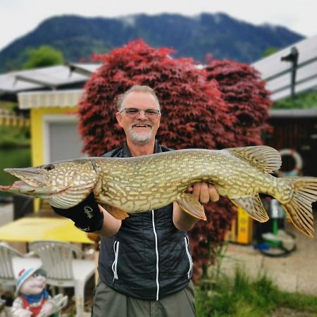 Ferienwohnungen Schiller Landskron Esterno foto