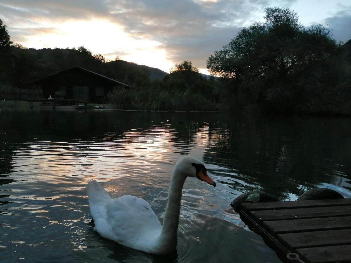 Ferienwohnungen Schiller Landskron Esterno foto